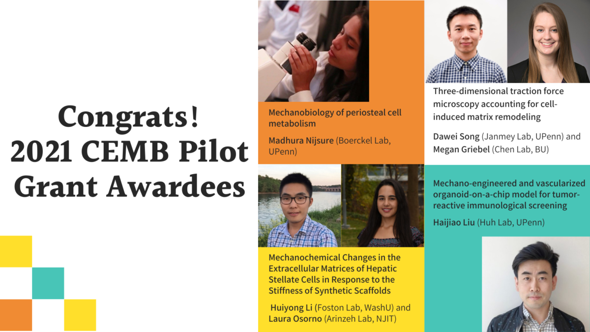 Center for Engineering Mechanobiology 2021 Pilot Awards