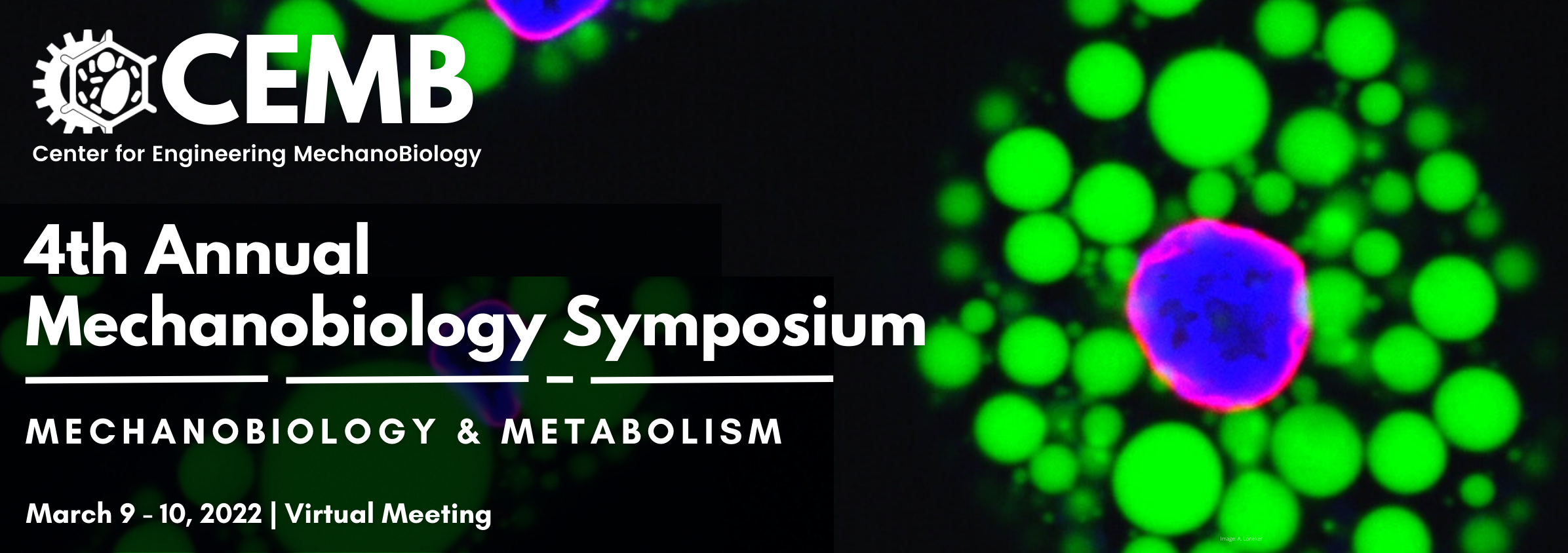 4th Annual Symposium_March 9-10