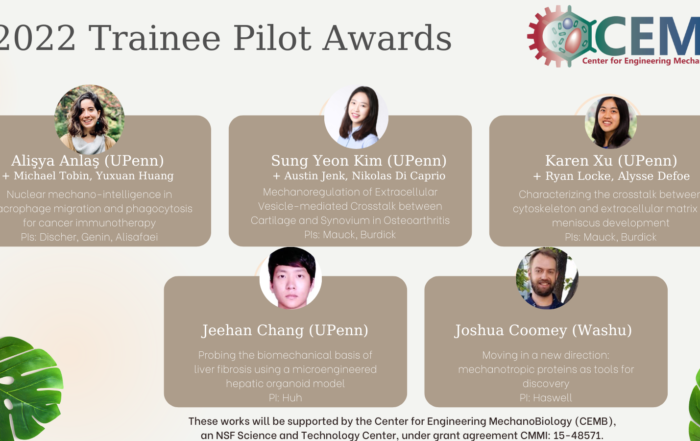 Mechanobiology pilot awardees and project titles