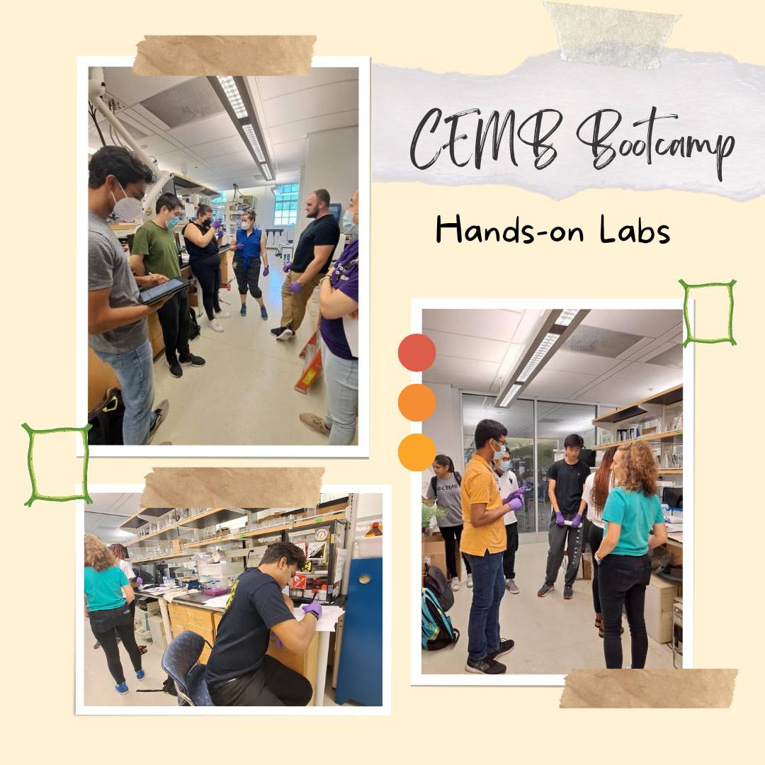 Images of students in a scientific lab conducting hands-on learning