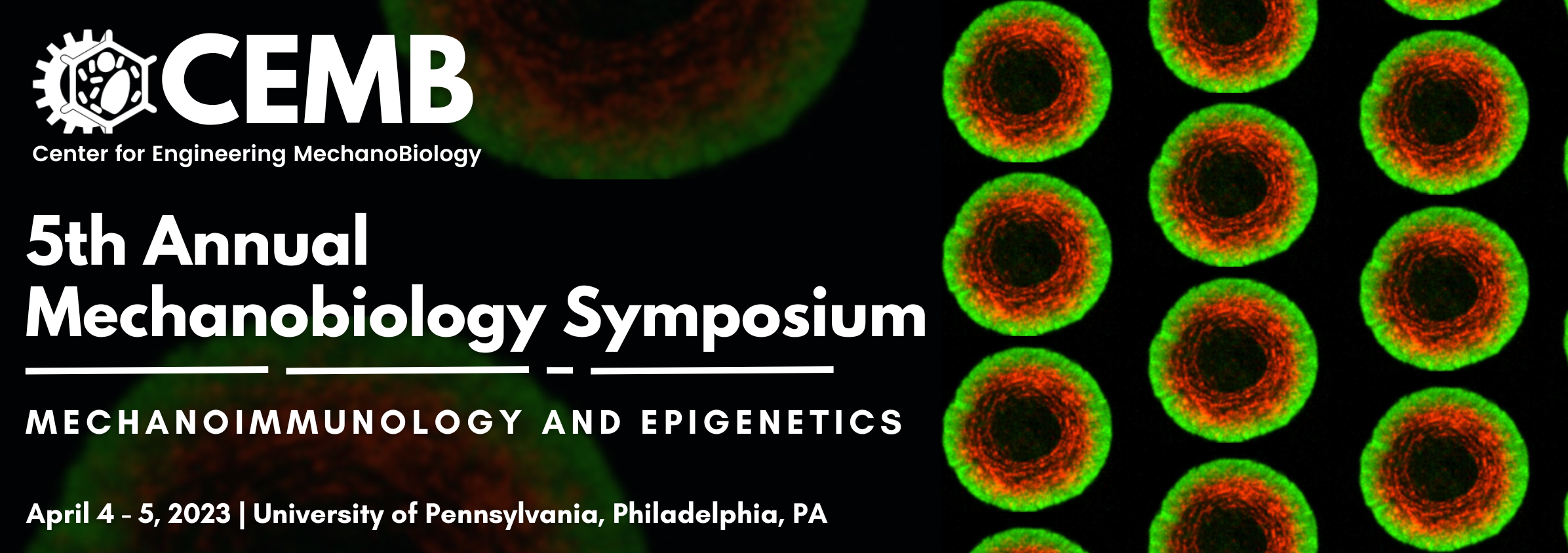 5th Annual Symposium_website banner (3)